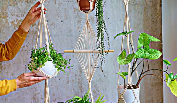 Hang Some Plants