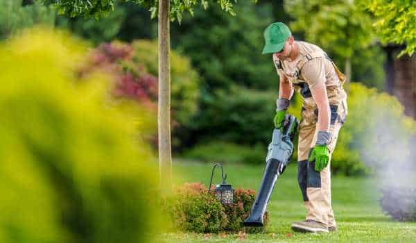 Keep the garden clean